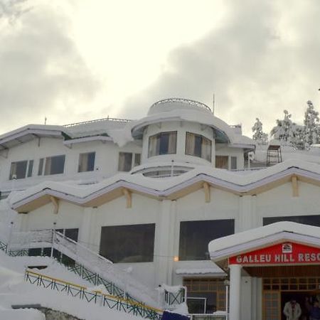 Galleu Hill Resort Shimla Exterior foto